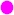 pigmented magenta
